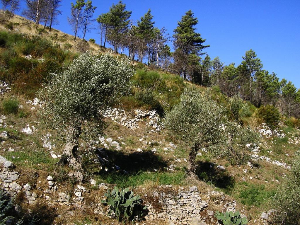 SantʼAgata deʼ GotiSentieri Luminosi公寓 外观 照片